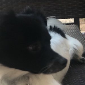 Meet your Posher, Joana